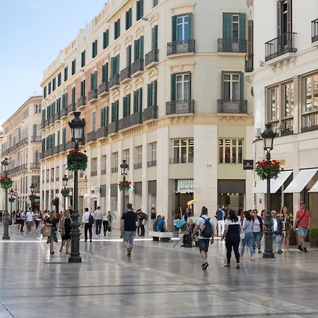 Hotel Petit Palace Plaza 4*