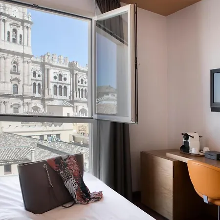Hotel Petit Palace Plaza 4*