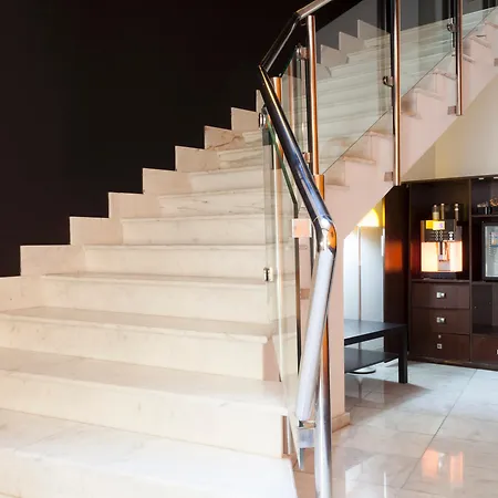 Hotel Petit Palace Plaza 4*