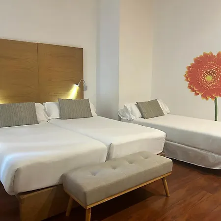 Petit Palace Plaza Hotell Málaga