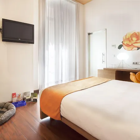 Petit Palace Plaza Hotell