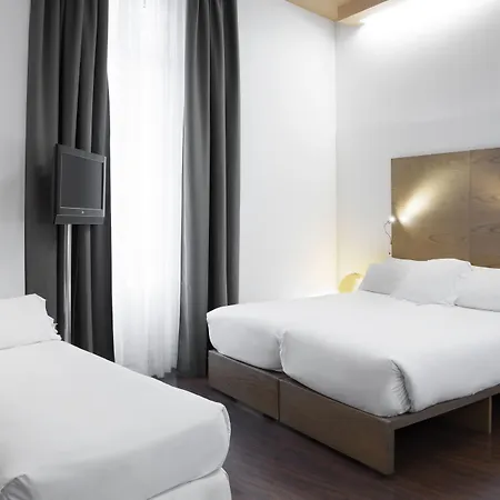 Petit Palace Plaza Hotel