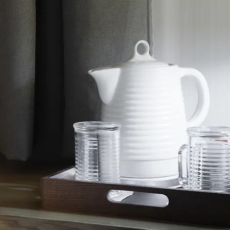 Petit Palace Plaza Hotell