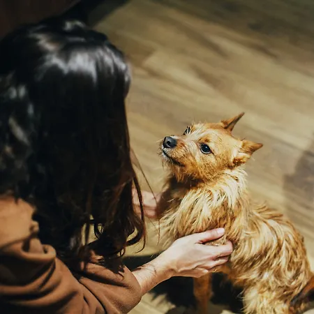 Petit Palace Plaza Hotel 4*