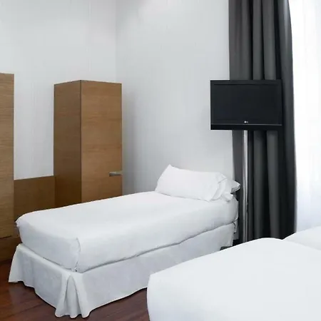 Hotel Petit Palace Plaza 4*